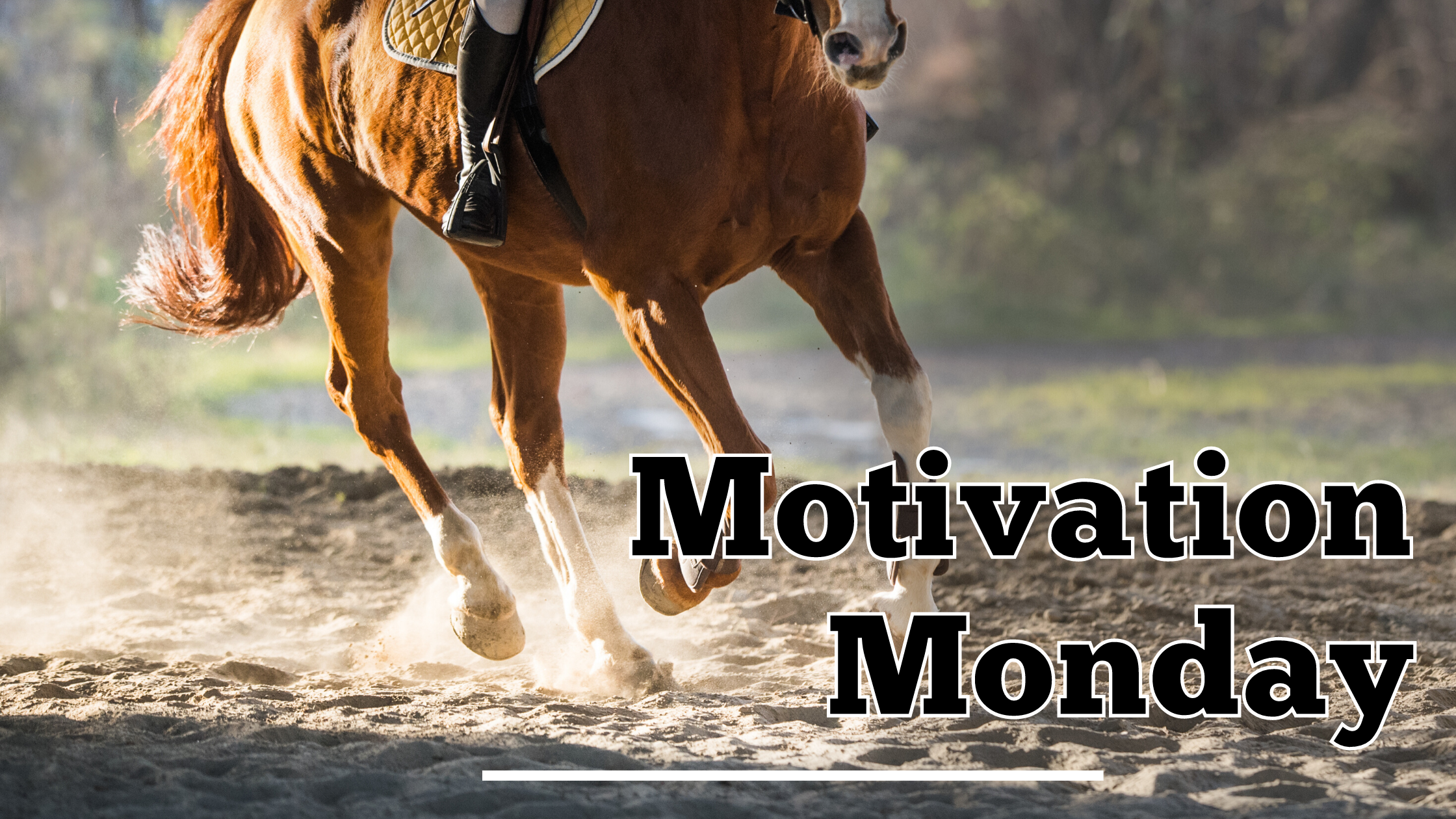 Photo of a chestnut colored horse being ridden in a sand arena, with the words Motivation Monday in the lower right corner