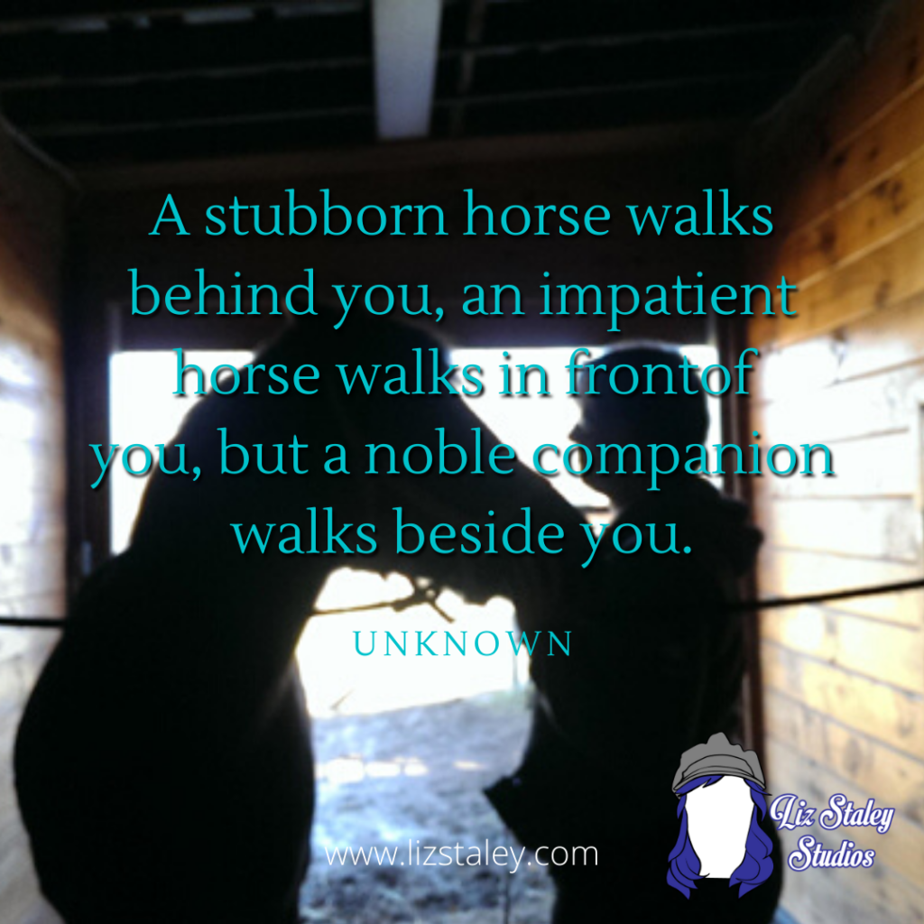 Photo of a woman standing with a horse, looking at each other. The photo is in silhouette. Text on the photo reads "A stubborn horse walks behind you, an impatient horse walks in front of you, a noble companion walks beside you."